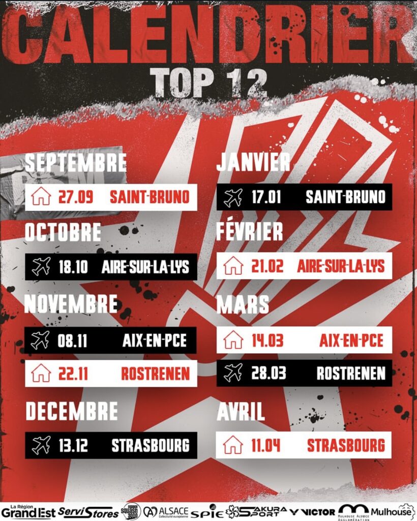 TOP 12 